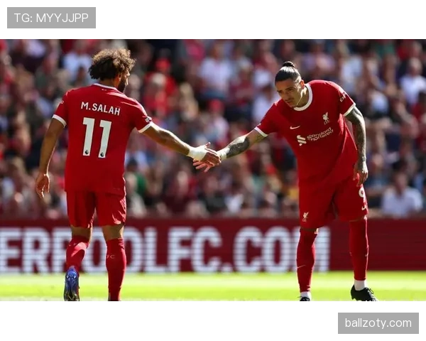 努涅斯与卢卡库的身体型前锋对比：对抗能力、冲击效率与禁区威胁的结构性差异